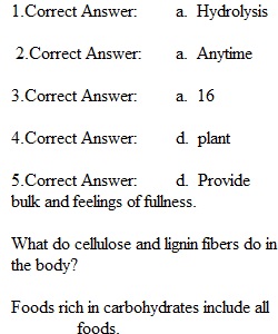 Chapter 4 Quiz